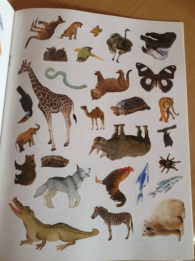 DK - Noah`s Ark - Bible Sticker Activity Book
