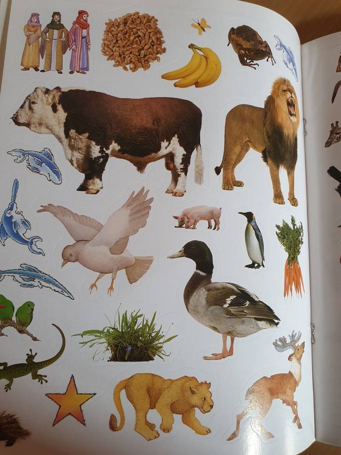 DK - Noah`s Ark - Bible Sticker Activity Book