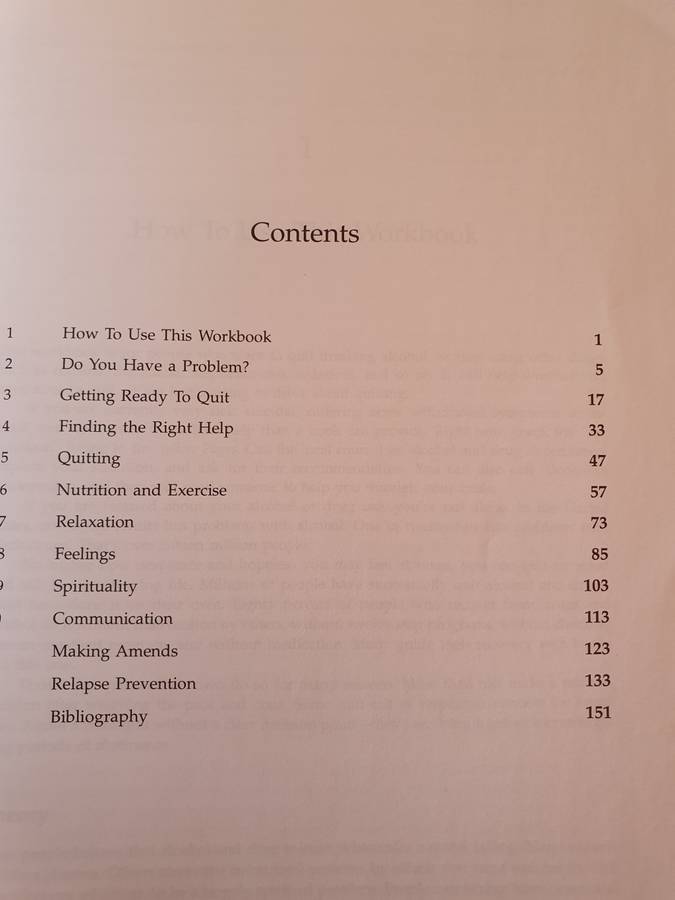 The Addiction Workbook : A Step-by Step Guide to Quitting Alcohol & Drugs: P. Fanning, J. O`Neill