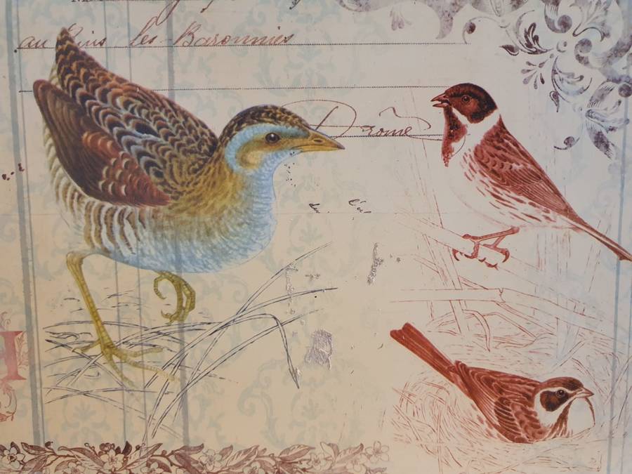 Metal Wall Sign - Birds (35cm x 26cm)