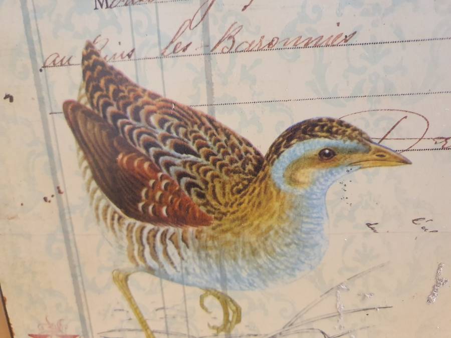 Metal Wall Sign - Birds (35cm x 26cm)