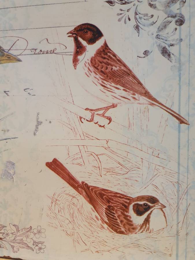 Metal Wall Sign - Birds (35cm x 26cm)