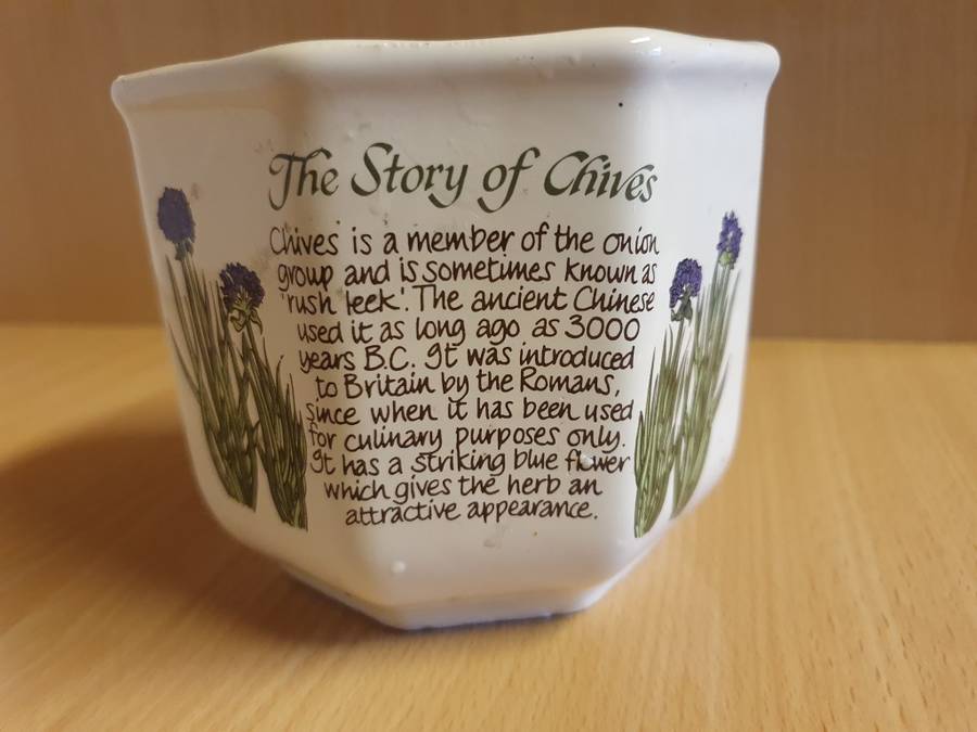 Chives Plant Pot/Planter (height 10cm width 12cm) New Condition
