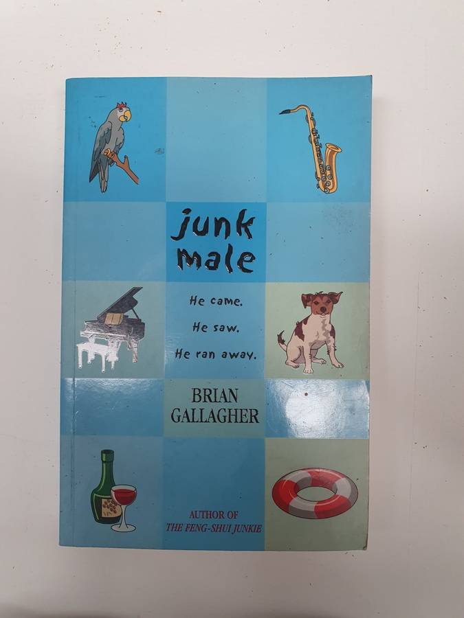 Junk Male: Brian Gallagher (Paperback)