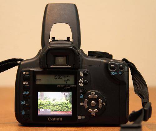 Back view of camera