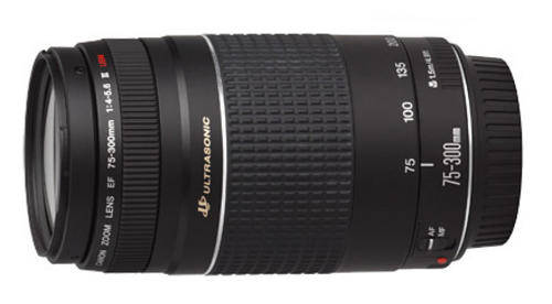 Canon Zoom Telephoto EF 75-300mm f/4.0-5.6 III USM Autofocus Lens