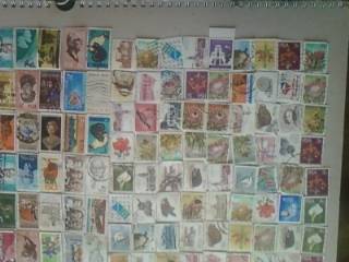 LARGE SOUTH AFRICAN AND FOREIGN STAMP COLLECTION +- 10000 STAMPS , FDC'S AND GUIDES