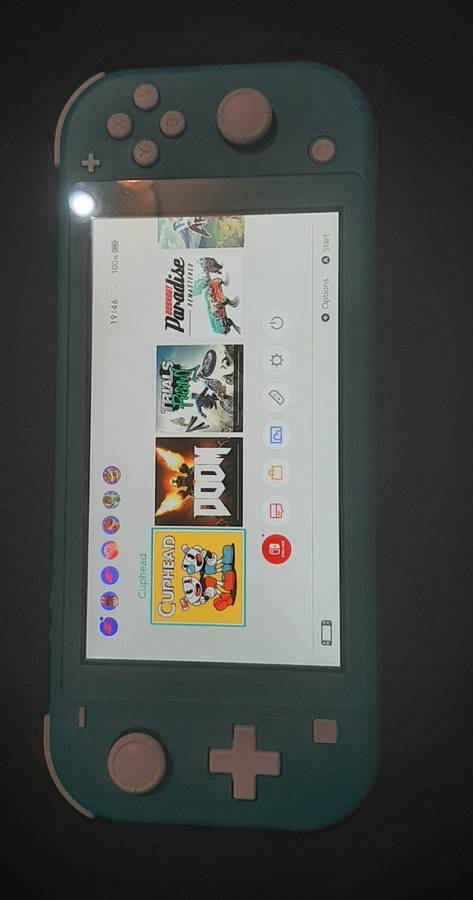 Nintendo Switch Lite ( Has a crack in the bottom housing) works 100%