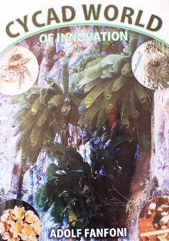 Cycad World Of Innovations