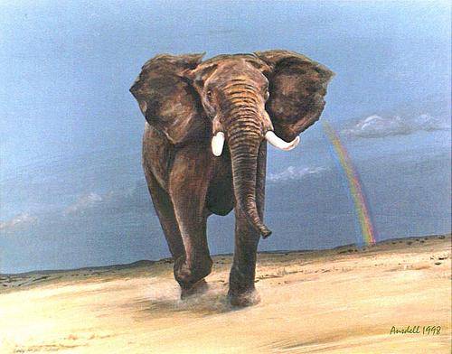 DESERT ELEPHANT AND RAINBOW - BEAUTIFUL CANVAS PRINT OF ORIGINAL PAINTING