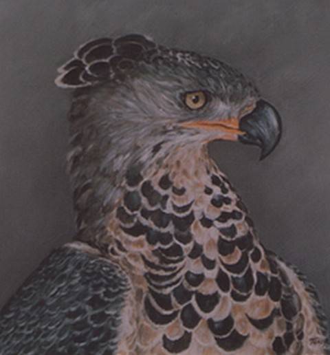 *YOUNG EAGLE - BEAUTIFUL CANVAS PRINT OF ORIGINAL PAINTING* PERFECT CHRISTMAS GIFT!