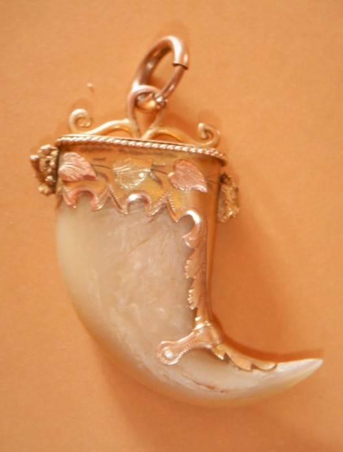 ANTIQUE TIGER CLAW PENDANT MOUNTED IN ETCHED YELLOW AND ROSE GOLD