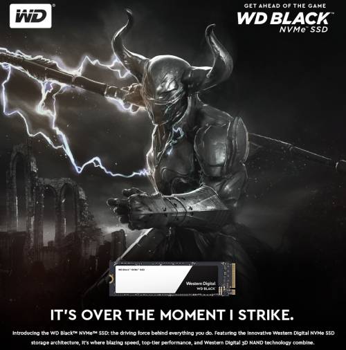 Western Digital Black 256GB M.2 NVMe PCI-Express Solid State Drive