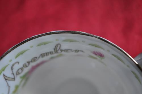 Royal Albert Flower Of The Month November "Chrysanthemum" Tennis Duo