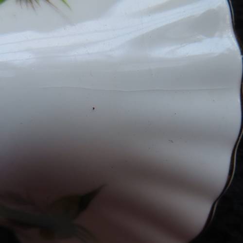 Royal Albert "Trillium" Large Teapot.  Lid Damaged!!