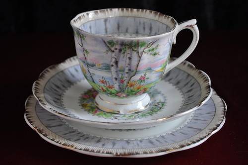 Royal Albert "Silver Birch" Footed Trio