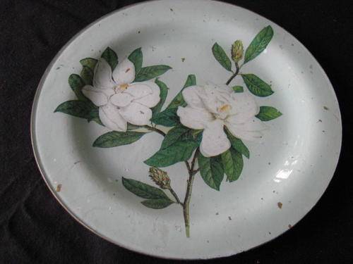 A PRETTY WALL DISPLAY PLATE.... WITH LOVELY WHITE FLOWER DECORATION@ CRRAAAZZY R1 START