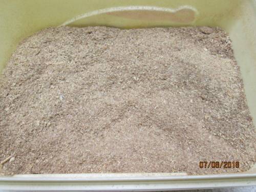 HO SCALE : SCENIC SCATTER MATERIAL (FINE SAWDUST  350g) - LOT 834T