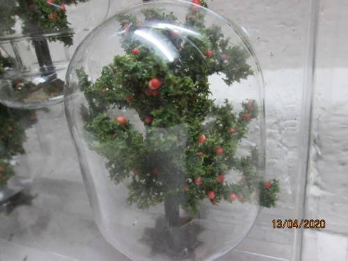 HO SCALE : WOODLAND SCENICS : x4 FRUIT TREES (BOXED) - LOT 198AA