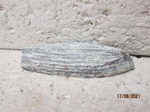 HO / OO SCALE : METAL ROWING BOAT