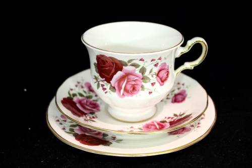 Queen Ann - Roses - Trio - Beautiful! - Low price!! - Bid Now!!