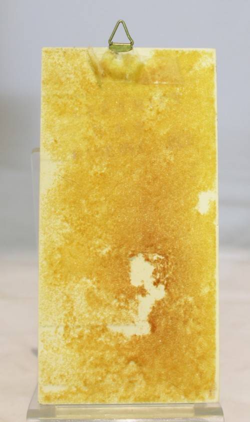 Fertility tile - Beautiful - Low Price - Bid Now!!