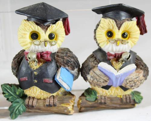 Fridge Magnet - Four Professor Owls - Gorgeous!! - Bid Now!