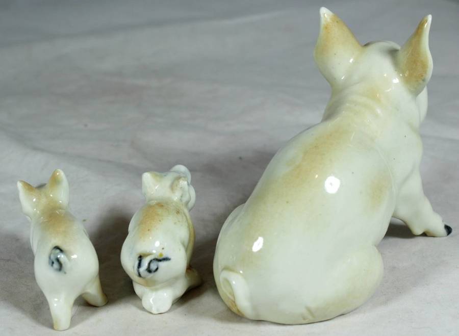 Pig family - A stunning set!! - Bid Now!!!