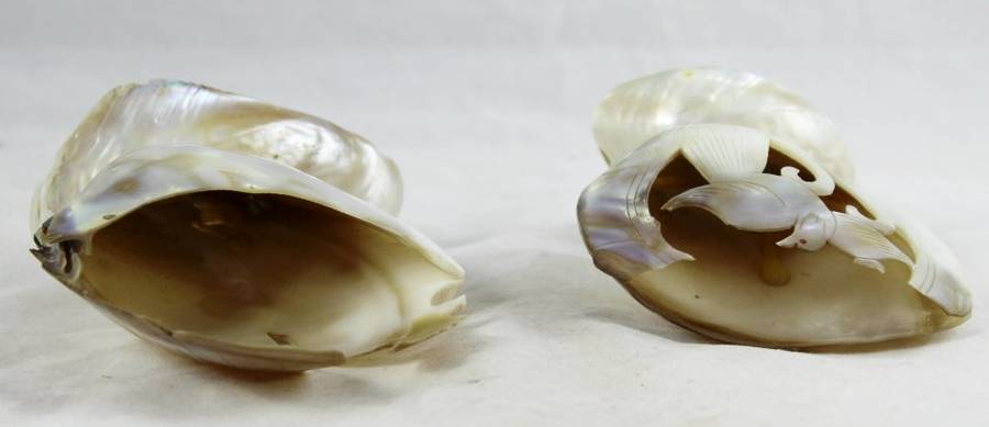 Sculptured Shells - Pair - Beautiful! - Bid Now!!