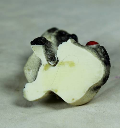 Cat with a Ladybug on its tail - Bid Now!!