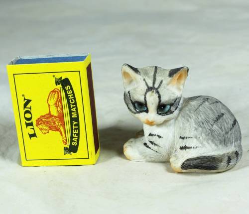 Cat with Big Eyes - Bid Now!!