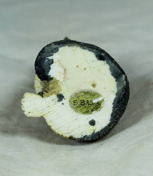 Sitting Cat - Bid Now!!