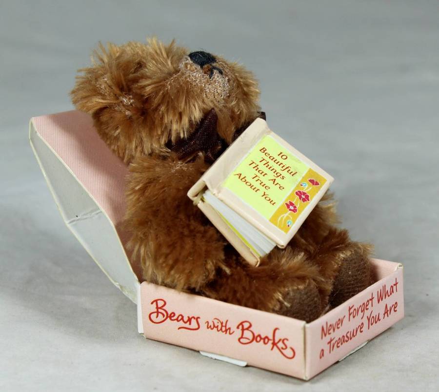 SMALL BEAR WITH BOOKS IN A BOX - BID NOW!!!!