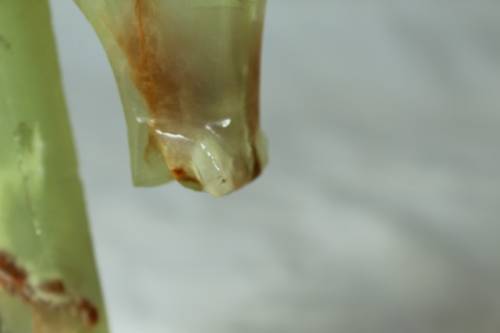 Horse Head Bookend - Pair - Beautiful! - Bid Now!!