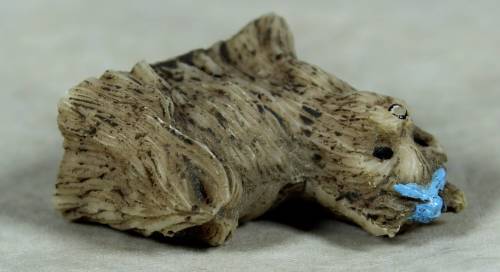 Miniature little shitshu with a blue bow