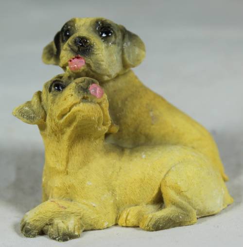 Miniature pair of dogs grooming each other