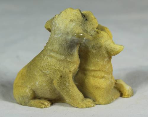 Miniature pair of dogs grooming each other