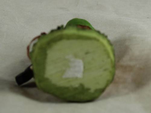 MINIATURE GARDEN GNOME-PLAYING THE VIOLIN(LOVELY) BID NOW!!