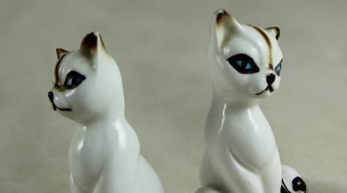 Porcelain cat salt & pepper set