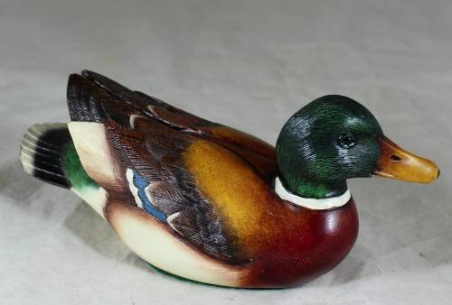 Feathers of Knysna Colorful Duck - Act fast and bid now!!!