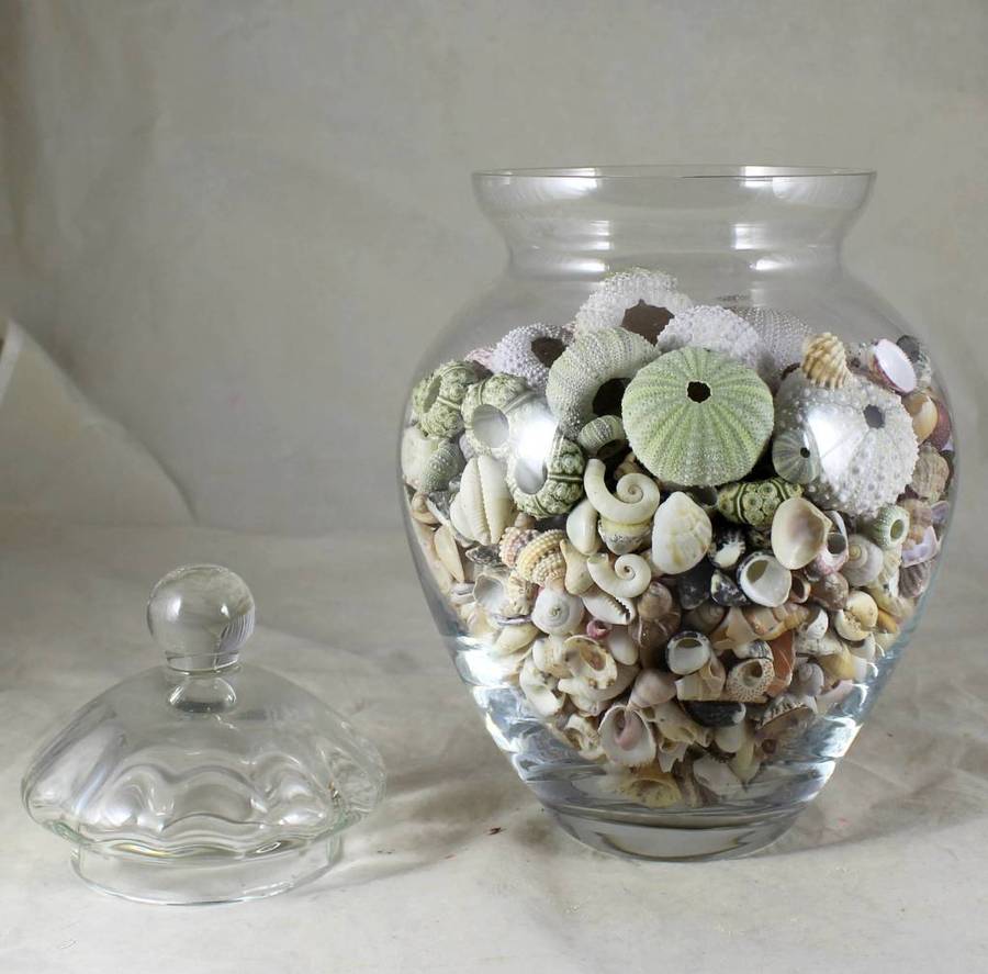 Lidded vase with shells
