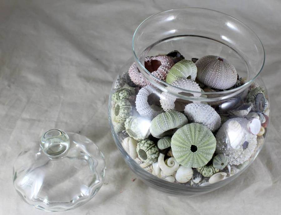 Lidded vase with shells