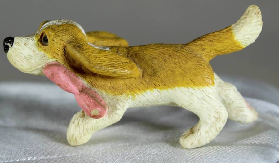 Miniature - Pointer Dog - Act Fast!!! -BID NOW!!!