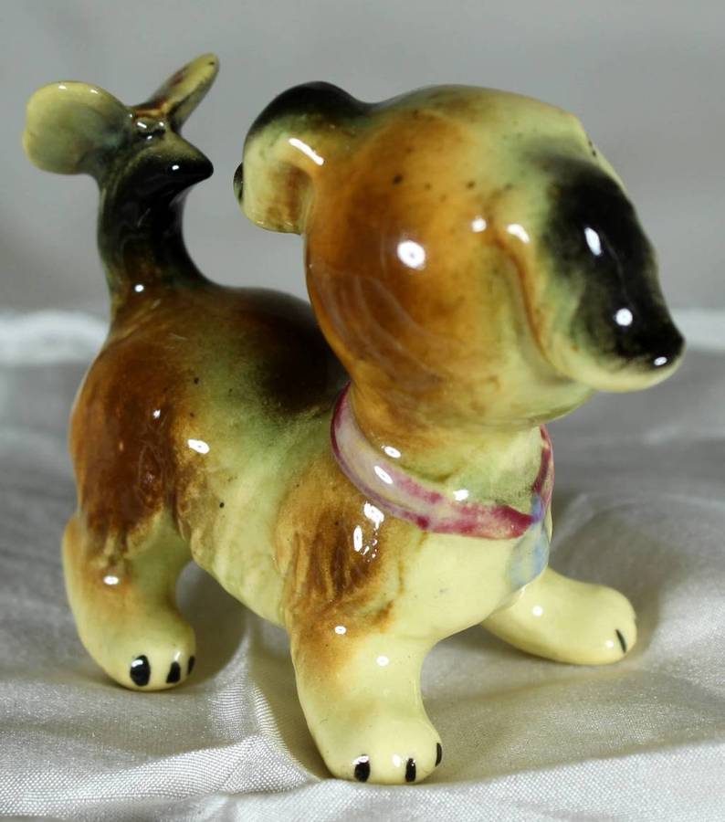 Puppy with butterfly on tail