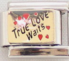 **Christmas Special** Italian charms - True Love Waits (Fits Nomination)