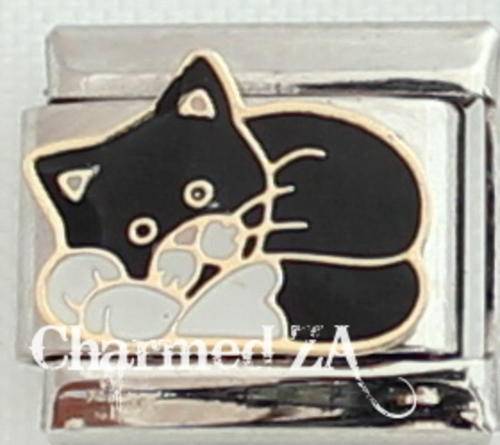 **Christmas Special - Italian charms - Black and White cat (Fits Nomination)