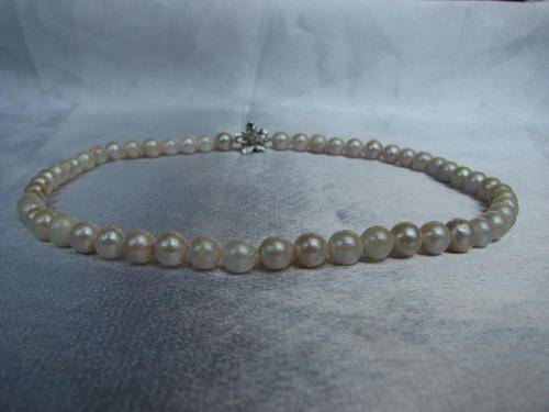 The Kavanaghs Collection - Genuine Akoya Pearl Necklace