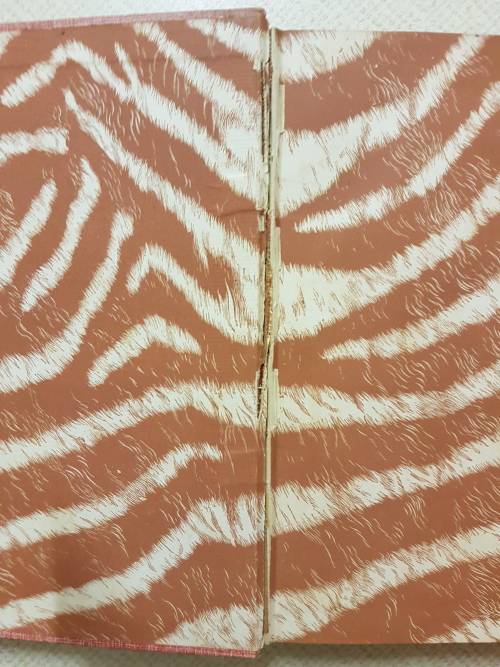 Sunshine & Storm in Rhodesia - By F.C. Selous