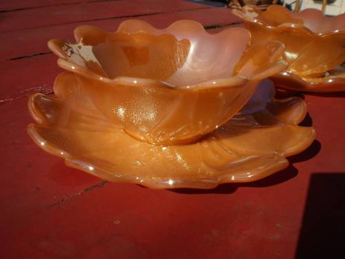 Set of Two Beautiful Large Flower Desert Bowls With Saucer