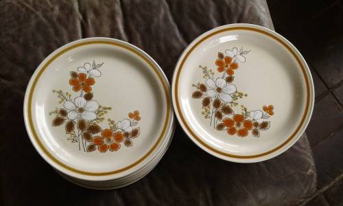13 Vintage Highland Florals Collection Japanese Stoneware Dinner Plates Mountain Florals
